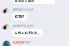 宝鸡为什么选择专业追讨公司来处理您的债务纠纷？